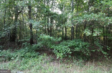 0 Kings Mill Rd unit 6 10547516, Wrens, GA 30833 - photo 4