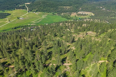 2XXX Wrights Valley Rd, Chewelah, WA 99109 - photo 6