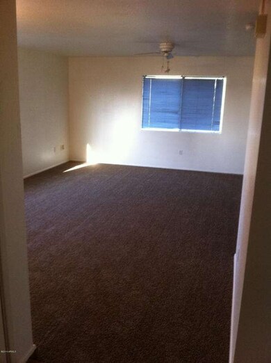 Apartment 3 plush carpet