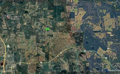 0 Cane Creek Rd unit 4125143, Flora, MS 39071 - photo 4
