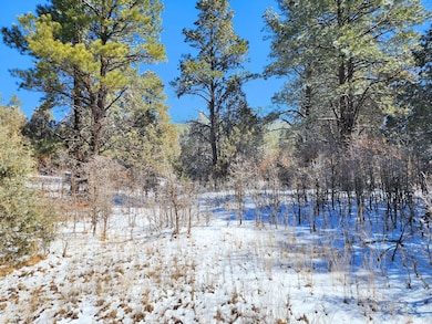 0 Private Drive 1781a, Los Ojos, NM 87551 - photo 3