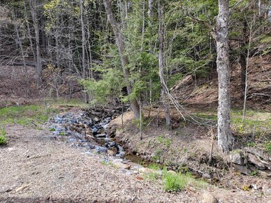 0 Nh Route 123a, Acworth, NH 03601 - photo 2