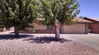 IMG_20150707_133151153_HDR