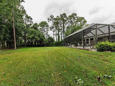 Supersized back yard