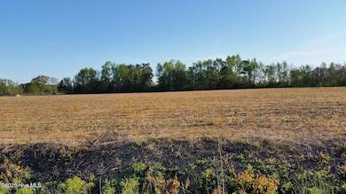 120 Old Main Rd, Pembroke, NC 28372 - photo 4