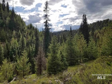 TBD American Eagle Properties Survey 1810 & Survey 188, Elk City, ID 83525 - photo 3