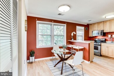 6612 Boulevard View unit C1, Alexandria, VA 22307 - photo 5