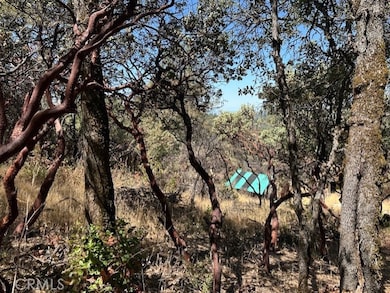 0 Black Bart Rd, Oroville, CA 95966 - photo 6