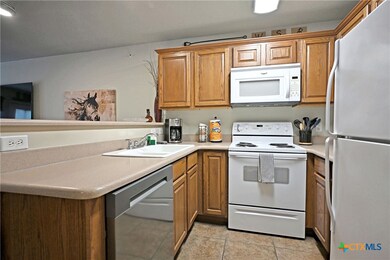730 E Mather St unit J301, New Braunfels, TX 78130 - photo 7
