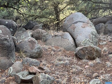 TBD Linda Dr, Silver City, NM 88061 - photo 6