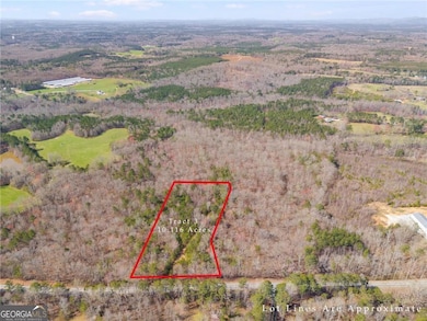 Tract5 Georgia 100, Buchanan, GA 30113 - photo 5