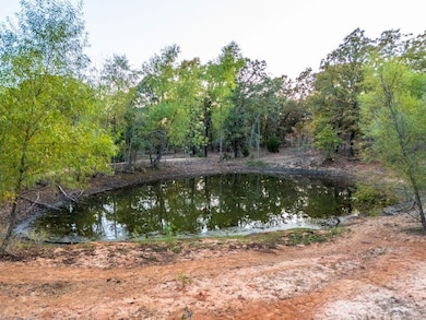 28520 W 166th St S, Bristow, OK 74010 - photo 6