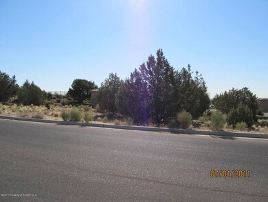 6400 Bent Tree Cir, Farmington, NM 87402 - photo 4