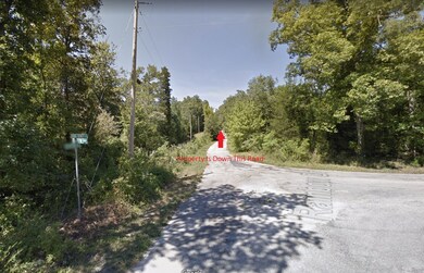 0 King Henry Rd, Hardy, AR 72542 - photo 6