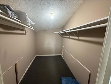 Walk in closet with carpet and lofted ceiling