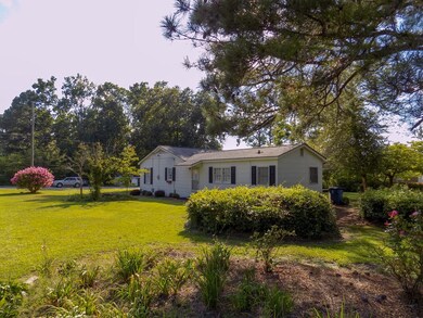 41 E Sixth St, Helena, GA 31037 - photo 3