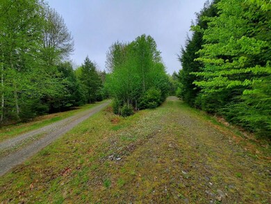 0 Blackcat Point Dr, Princeton, ME 04668 - photo 3