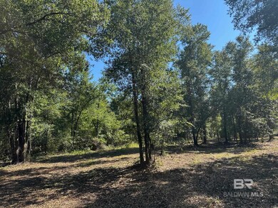 0 Newman Rd unit 3 365680, Mobile, AL 36695 - photo 5