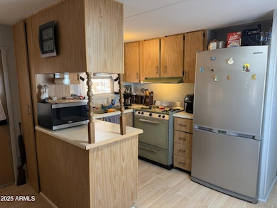 939 N Acacia Rd unit 20, Apache Junction, AZ 85119 - photo 4