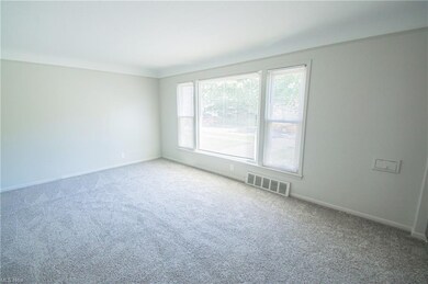 Living Room with new Carpet and freshly painted