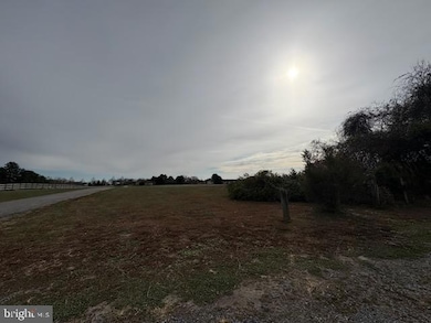 343 Thorntown Rd, Middletown, DE 19709 - photo 7