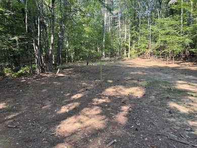 0 Marden Rd, Wilton, NH 03086 - photo 3