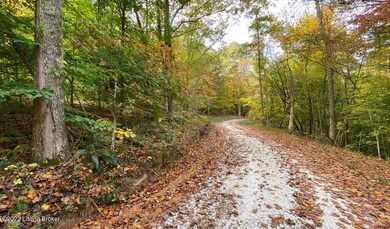 River View Fall273