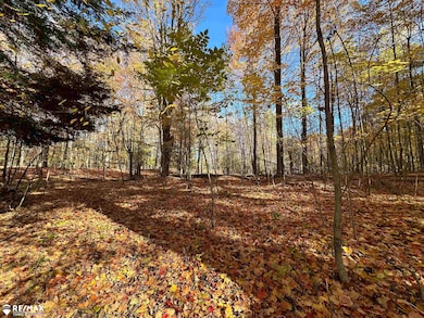 3077 Phelps Lake Rd, Mayville, MI 48744 - photo 7