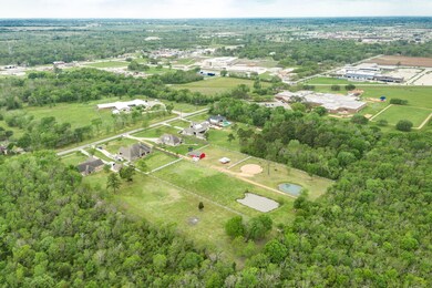 7502 Lewis Ln, Manvel, TX 77578 - photo 6