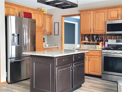 1863 Dunlap Dr, Streetsboro, OH 44241 - photo 6