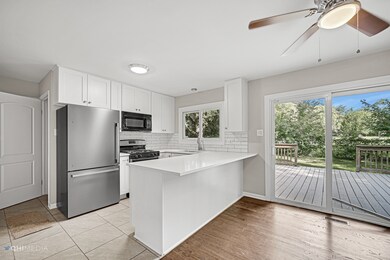 4342 207th St, Matteson, IL 60443 - photo 4