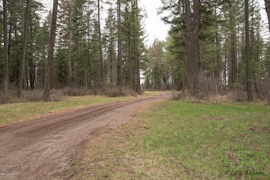 2567 Mt Highway 206, Columbia Falls, MT 59912 - photo 3