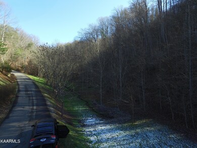 DJI_0010