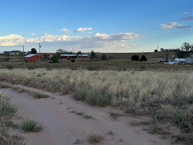 15 Dusty Ln, Edgewood, NM 87015 - photo 3