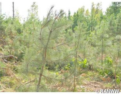 0 N Black Brook Rd unit 869582, Webster, WI 54893 - photo 3