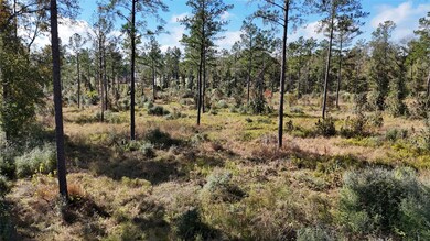 TBD 7 Reveille Rd, Livingston, TX 77351 - photo 7