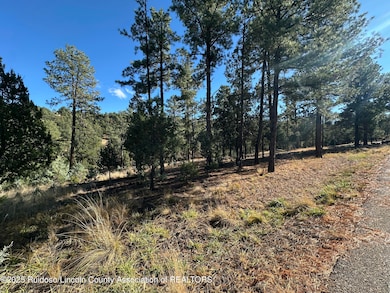 Lot 152 Del Monte Dr, Alto, NM 88312 - photo 5