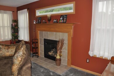 Gas Fireplace