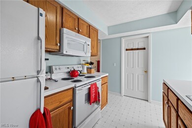 24659 Thicket Ln, Olmsted Falls, OH 44138 - photo 5