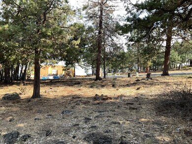 0 Cinnamon Teal Dr unit Lot 593 220208680, Klamath Falls, OR 97601 - photo 5