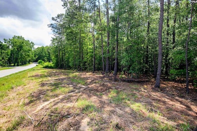 227 State Road S-32-145 unit LOT 3, Lexington, SC 29072 - photo 7