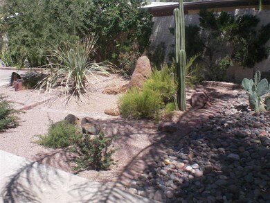 Backyard (2)