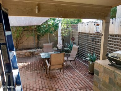 backyard photo