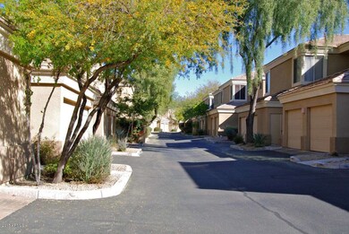 Tree lined street