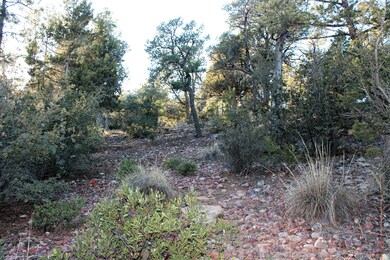 428 S Pleasant View Dr, Show Low, AZ 85901 - photo 4