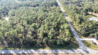 0 Estates Lot #1 Blk 10 Dr, North Port, FL 34291 - photo 5