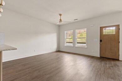 925 N Chamberlain Ave, Chattanooga, TN 37406 - photo 5