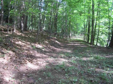 0 Foordmore Rd unit 20133920, Wawarsing, NY 12446 - photo 4