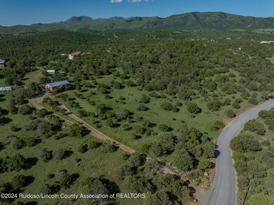 DJI_20240729092423_0208_D