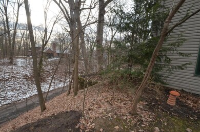 Ravine View